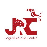 Jaguar Rescue Center Foundation logo - Similar company to Macaw Recovery Network