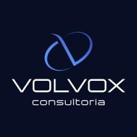 Volvox Consultoria logo - Similar company to Grupos Internet Ltda.
