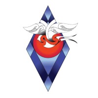 Raukura Hauora O Tainui logo - Similar company to Safe Network