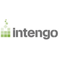 Intengo logo - Similar company to Deka Technology