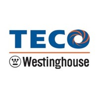Teco-Westinghouse Motor Company (Mexico) logo - Similar company to Nexe