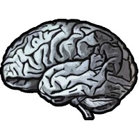 Theory Of Mind Llc