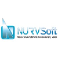 Nurvsoft Inc. logo - Similar company to Wave Craft Solutions