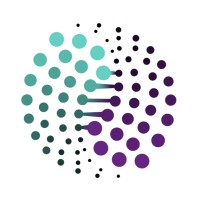 IDBN logo - Similar company to Nano Zist Polymer Pars