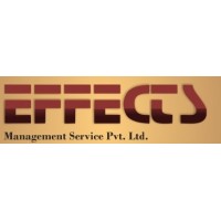 Effects Management Services Private Limited logo - Similar company to Ram Advertising Ltd.