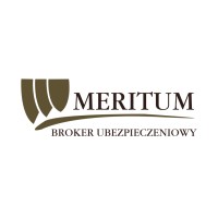 Meritum Sp. z o.o. logo - Similar company to Interbrokers S.A