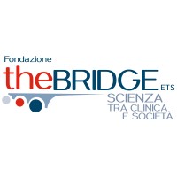 Fondazione The Bridge logo - Similar company to La Scheggia
