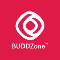 WOWBIIBUDDZONE logo - Similar company to Validprofits Consulting