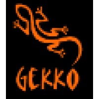 Gekko Doğa Sporları, Organizasyon ve Turizm Ltd.Şti. logo - Similar company to Ipo Institute