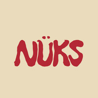 NÜKS Nootropics logo - Similar company to Nine™ Vitamins & Nootropics