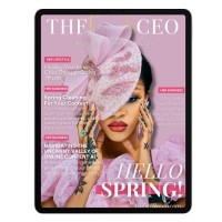 The Female CEO - Create Evolve Overcome Ltd. logo - Similar company to Braewell Box
