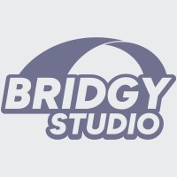 Bridgy Studio logo - Similar company to Cosmostaff