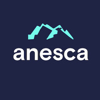Anesca Talent logo - Similar company to Executive Mae Recruitment