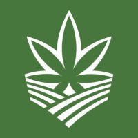 Beyond Buds logo - Similar company to Puro New Zealand