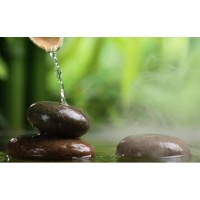 Anne Cornelissen logo - Similar company to Bokstherapienederland.Nl