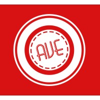 A Visual Experience logo - Similar company to Nemo33