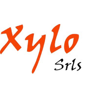 Xylo S.r.l.s. logo - Similar company to Intercoins Srl - Oro Da Investimento E Collezioni