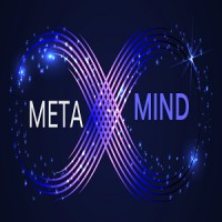 METAMIND For Fintech logo - Similar company to Projects Base Commercial Services Co.