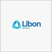 Libonservices logo - Similar company to Ds Chemicals International Llc