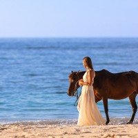 Meenakshi logo - Similar company to Proviconn