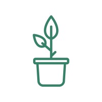 Root logo - Similar company to Design Management Solutions Ltd