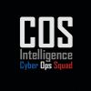 COS Intelligence logo - Similar company to Rga Systemes
