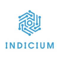 Indicium Technologies logo - Similar company to Indicium
