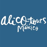ALICO TOURS DMC logo - Similar company to Ramada By Wyndham Ciudad De México Perinorte