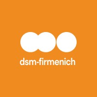 Dsm Twilmij Nederland