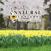 Natural Concerns Landscape Contractors logo - Similar company to Accelerent - Baltimore
