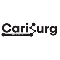 CariSurg logo - Similar company to Stone Technologies Limited