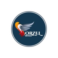 Orzel Infotech logo - Similar company to Argumented Reality
