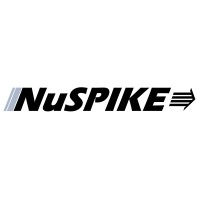 NuSpike logo - Similar company to Sellers Dorsey | Data Analytics Solutions