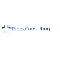 Ribex Consulting JSC logo - Similar company to Future Values