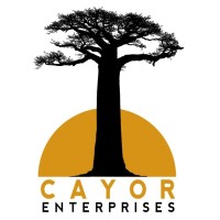 Cayor Enterprises Ltd. logo - Similar company to Primeforge