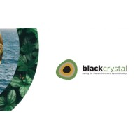 Black Crystal Environmental Consultants logo - Similar company to Genesis Enviro Solutions