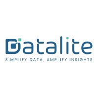 Datalite logo - Similar company to Datalite Llc