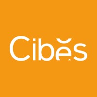 Cibes Lift France logo - Similar company to Nmvs Formation