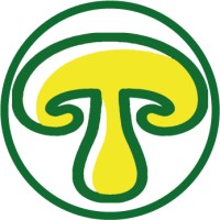 Mutfak logo - Similar company to Havalimani