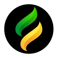 Synetal Solutions Private Limited logo - Similar company to Next Gen Tech Services