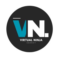 Virtual Ninja logo - Similar company to Virtual Ninjas