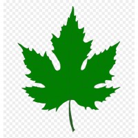 Al Toprani Trad. logo - Similar company to Kt Canada Corp.