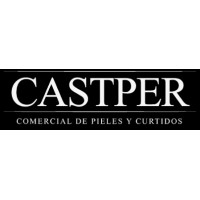COMERCIAL CASTPER SL logo - Similar company to David Del Molino Tello | Coach