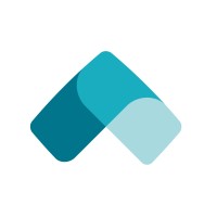 VIDIS. logo - Similar company to Studio Belegging