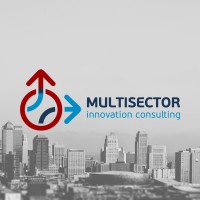 Multisector - Innovation Consulting logo - Similar company to Goingnext