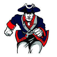 Patriot IT Solutions, LLC logo - Similar company to Somerset Systems, Llc