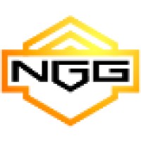 NG Group logo - Similar company to Ng Group