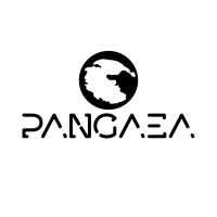 Pangaea Technologies Inc. logo - Similar company to Dehorizon