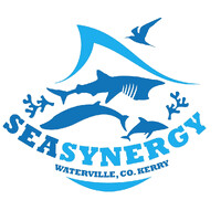 Sea Synergy logo - Similar company to Our Only World