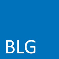 BLG Development Finance logo - Similar company to Lsi Projects